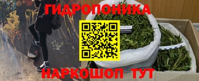 сатива Волжский