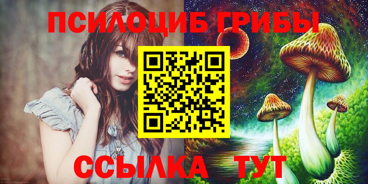 Псилоцибиновые грибы Psilocybine cubensis Братск