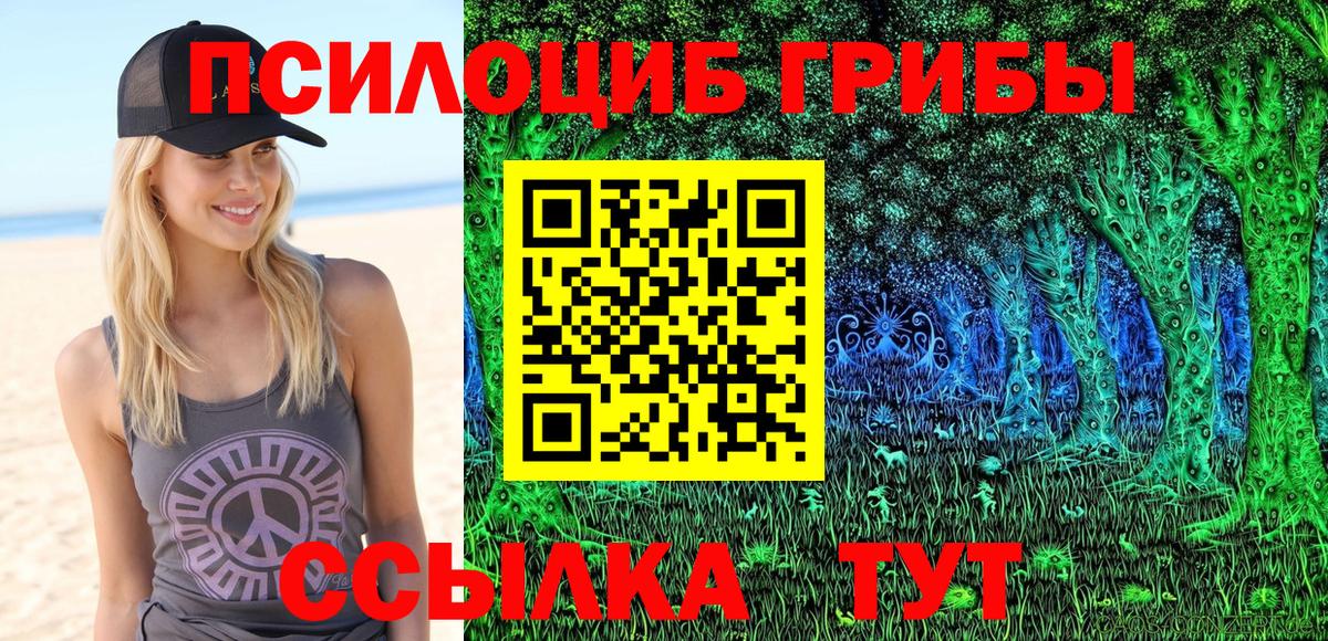 хочу наркоту  Галлюциногенные грибы прущие грибы  Вход с VPN  Братск 